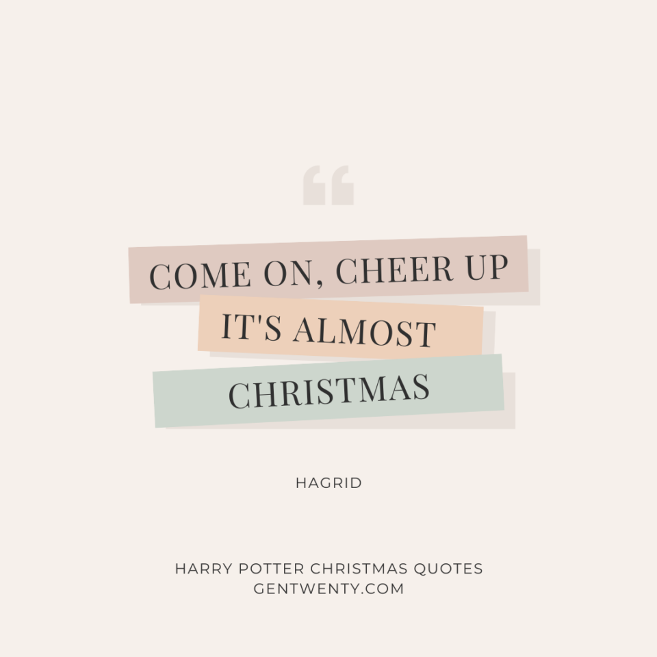 Harry Potter Christmas Quotes - GenTwenty