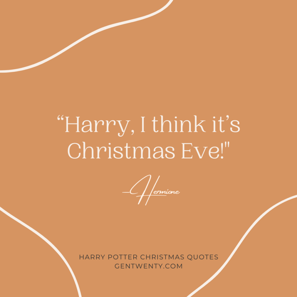 Harry Potter Christmas Quotes - GenTwenty