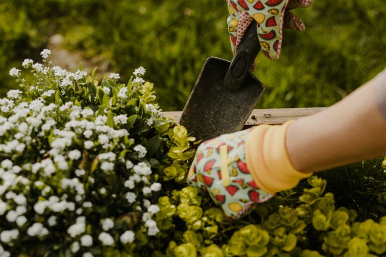 4 Garden Tips For The Summer Months