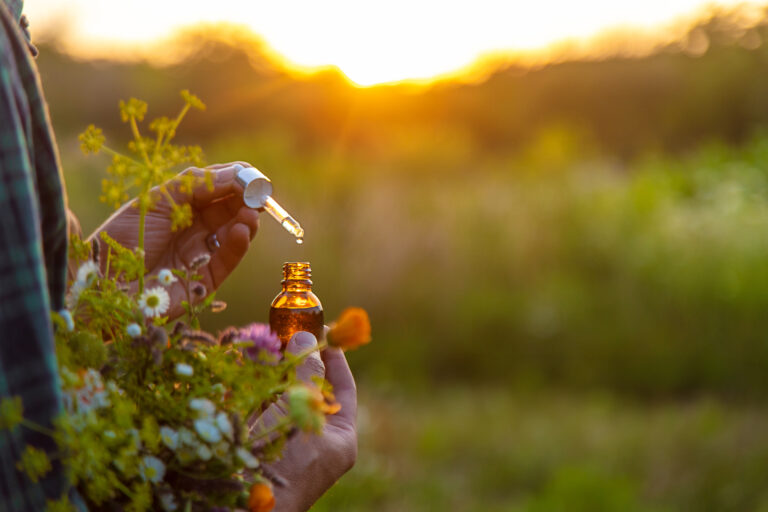 Discovering Bliss: The Best Vanilla Perfumes from Dossier