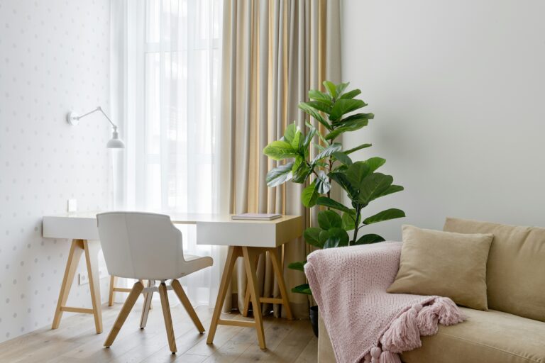 5 Best Ways for Cleaning Your Office Furniture