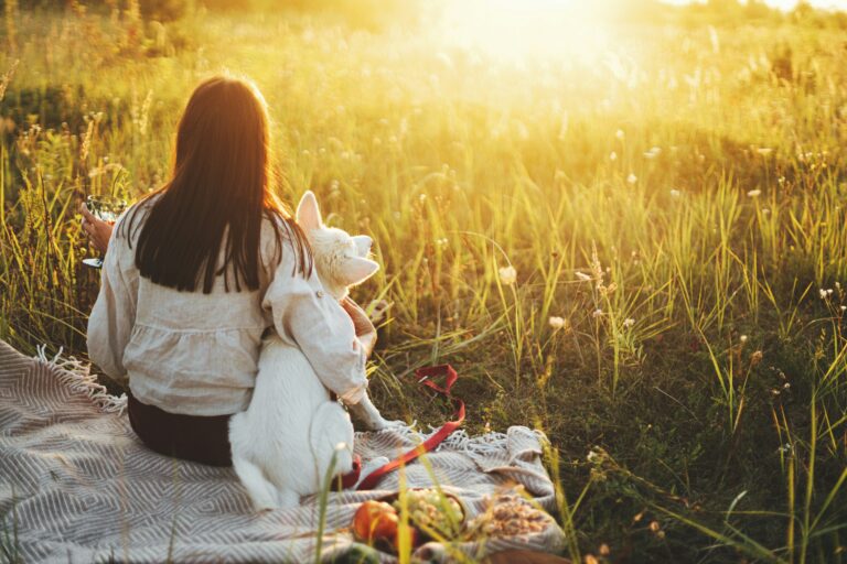 Your Picnic for One