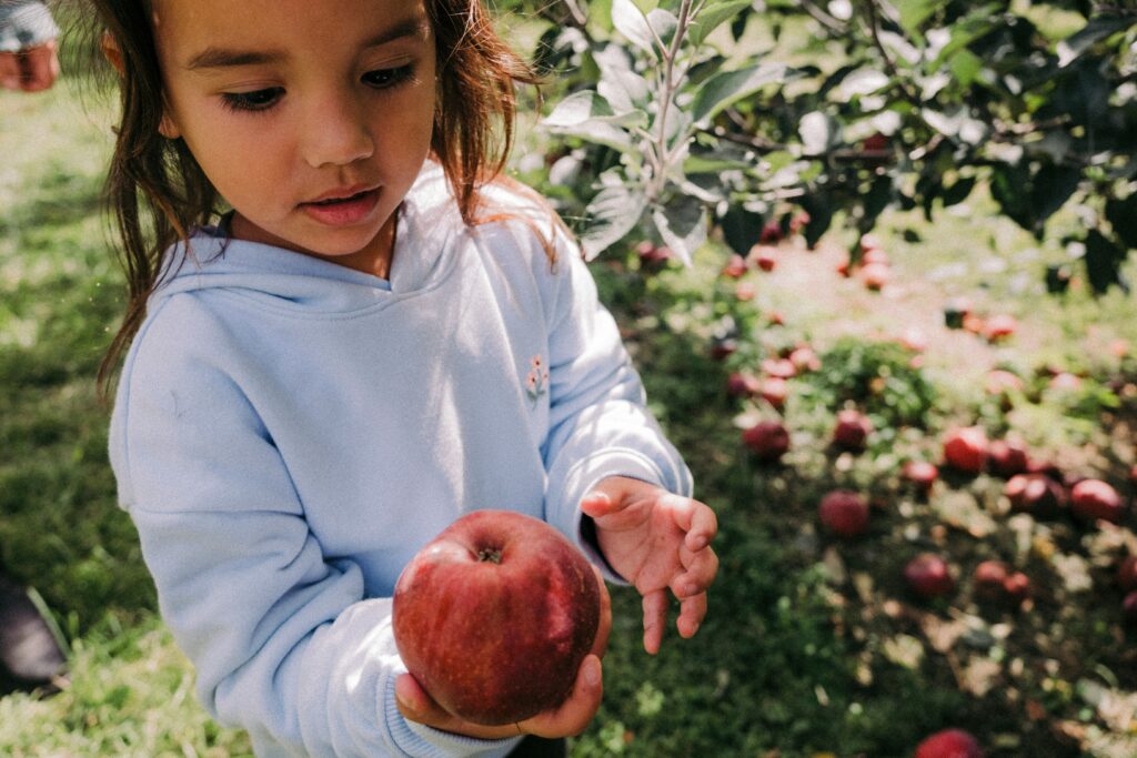 jeune enfant cueille une pomme dans un verger
