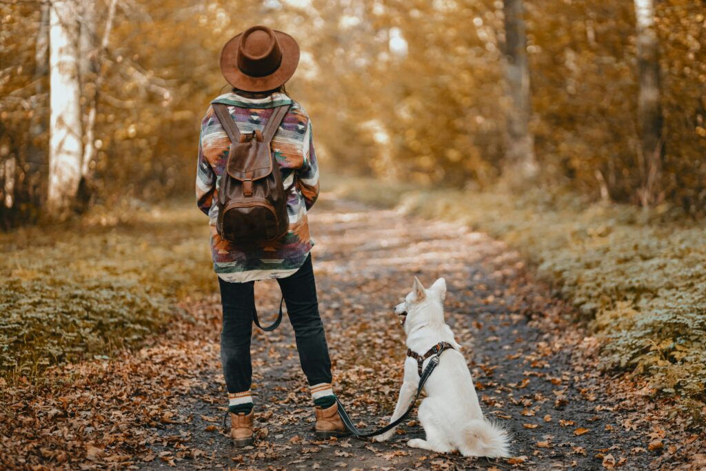 activités d'extérieur abordables en automne