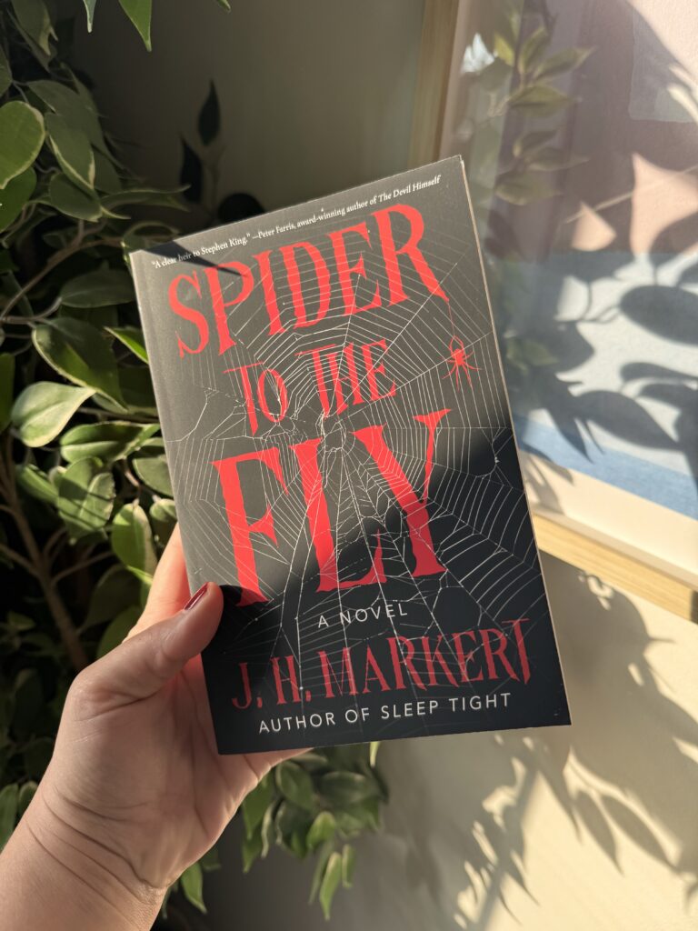 L'araignée et la mouche