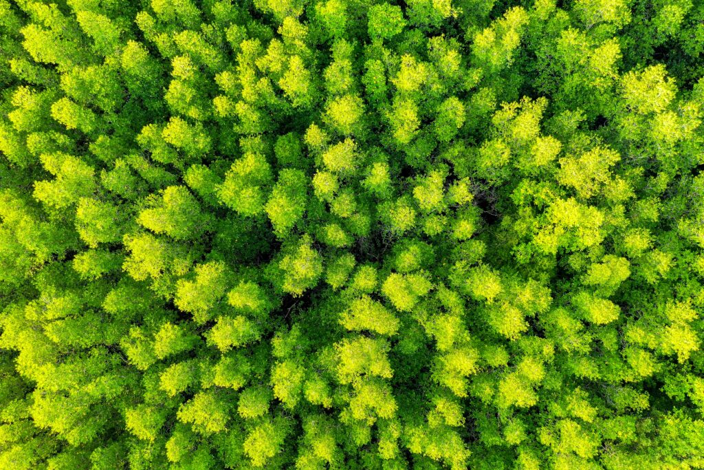 Conception de bâtiments écologiques