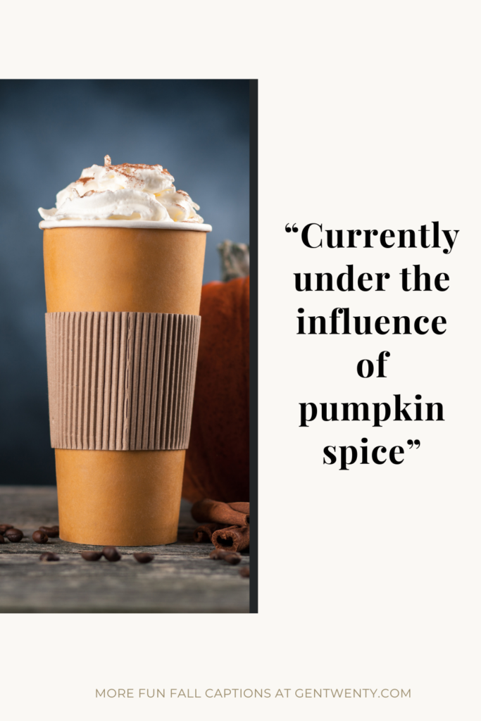 Fall Captions For Fall Fun
