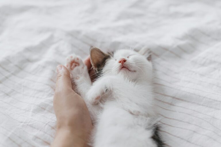 5 Effective Things That Can Help Relieve Anxiety