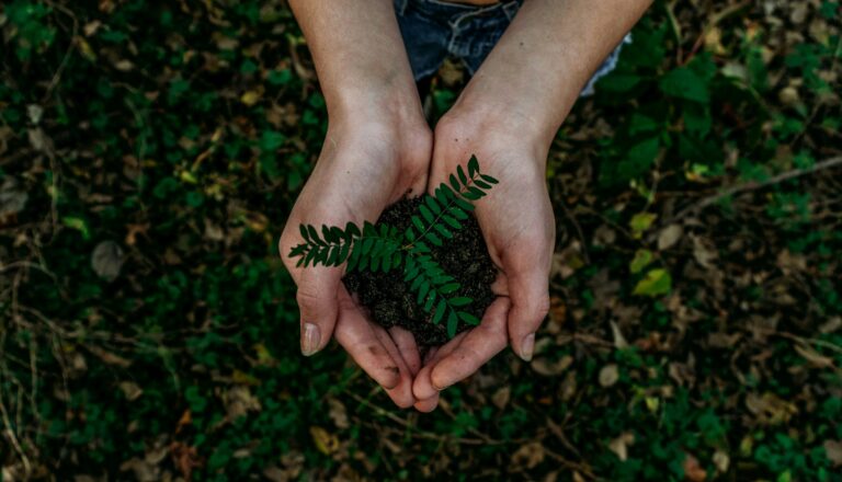 5 Ways to Be More Sustainable