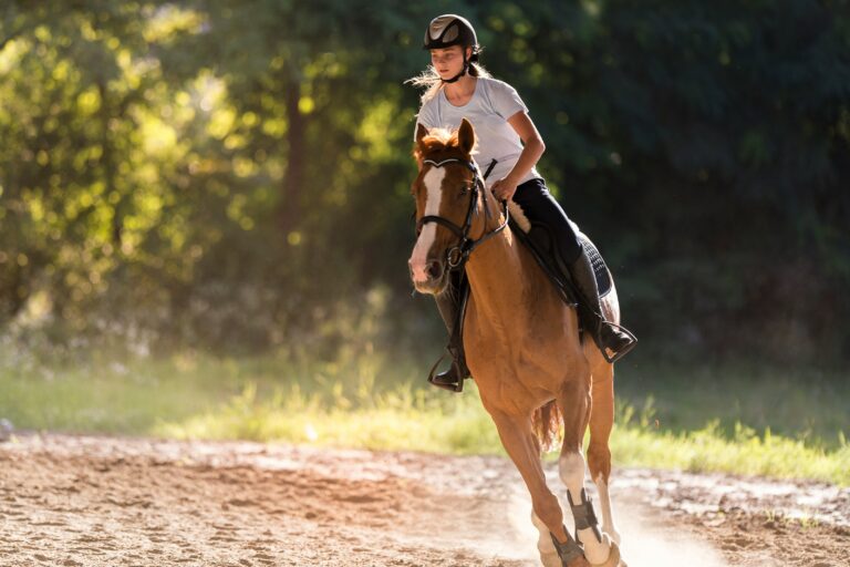 From Childhood Dream to Reality: Are You Ready to Own a Horse?
