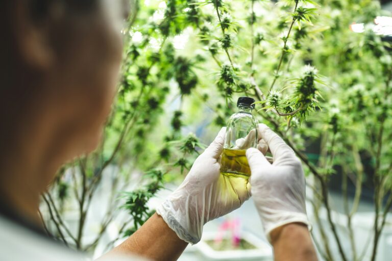7 Things to Consider Before Visiting a Cannabis Dispensary