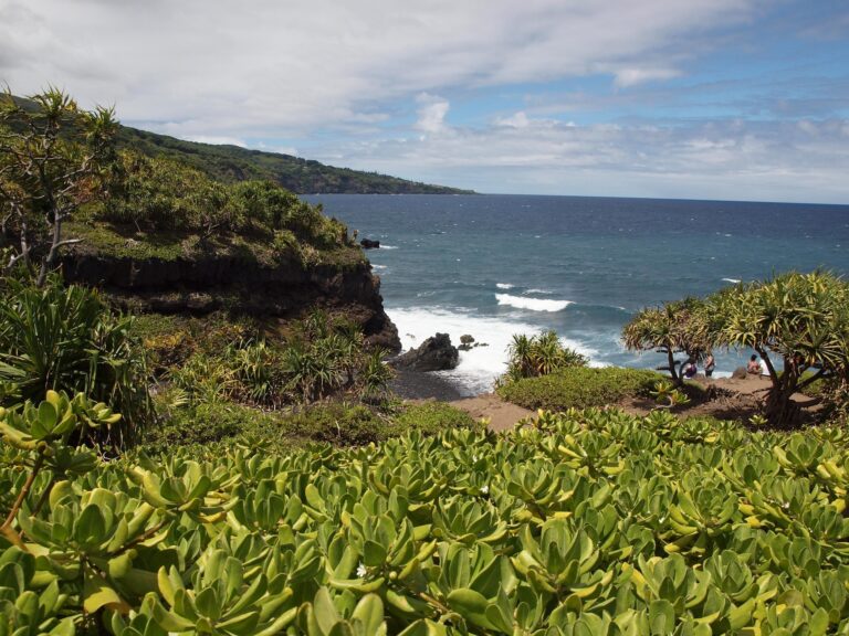 The Reality of Starting Over in Maui in Your 20s