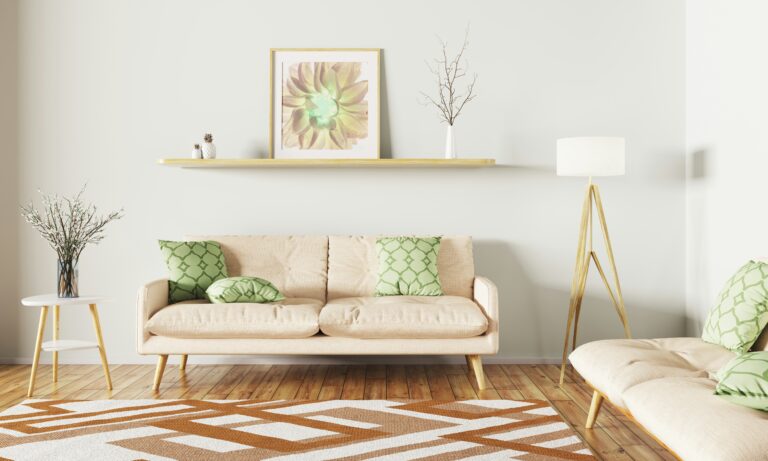 First Apartment Decor: How to Choose a Rug