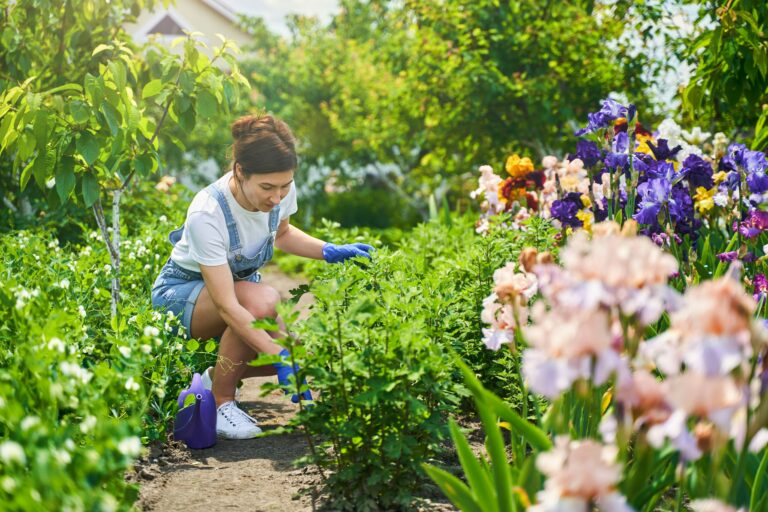 5 Tips For Caring For Your Property as a Homeowner