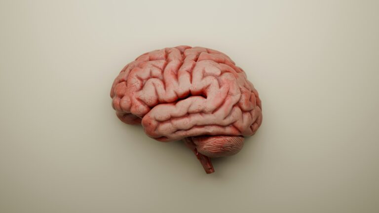Is a Psychology Degree a Smart Career Move Today?