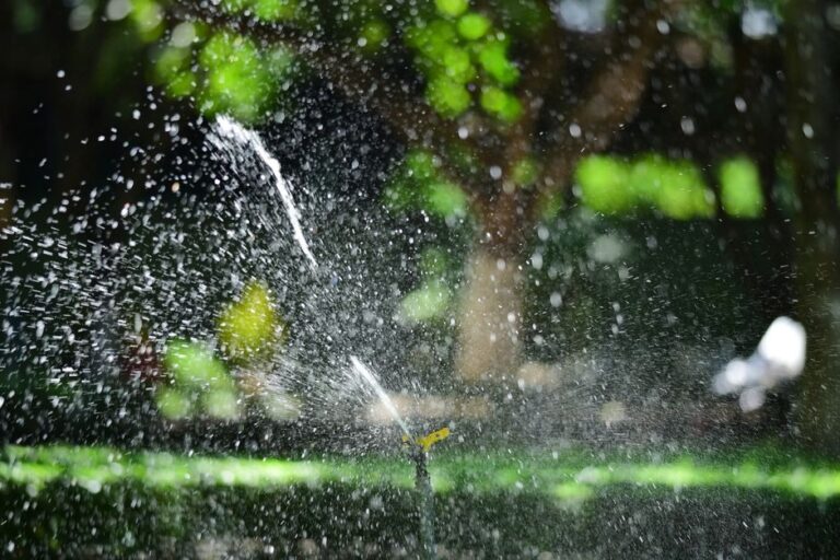 Small Irrigation Problems That Cost You Money 