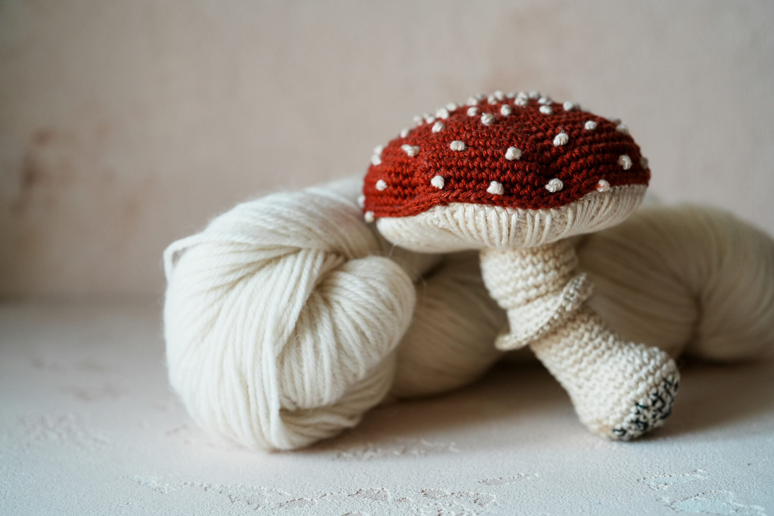 fall crochet mushroom