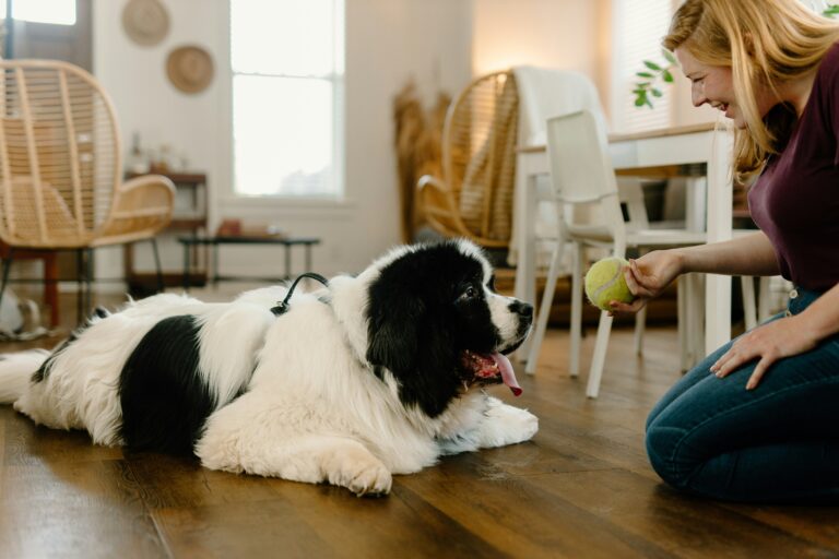 How to Be a Great Dog Parent When You're Busy Building Your Career